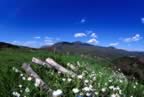 L'Amiata vista dal Parco Faunistico (36kb)
